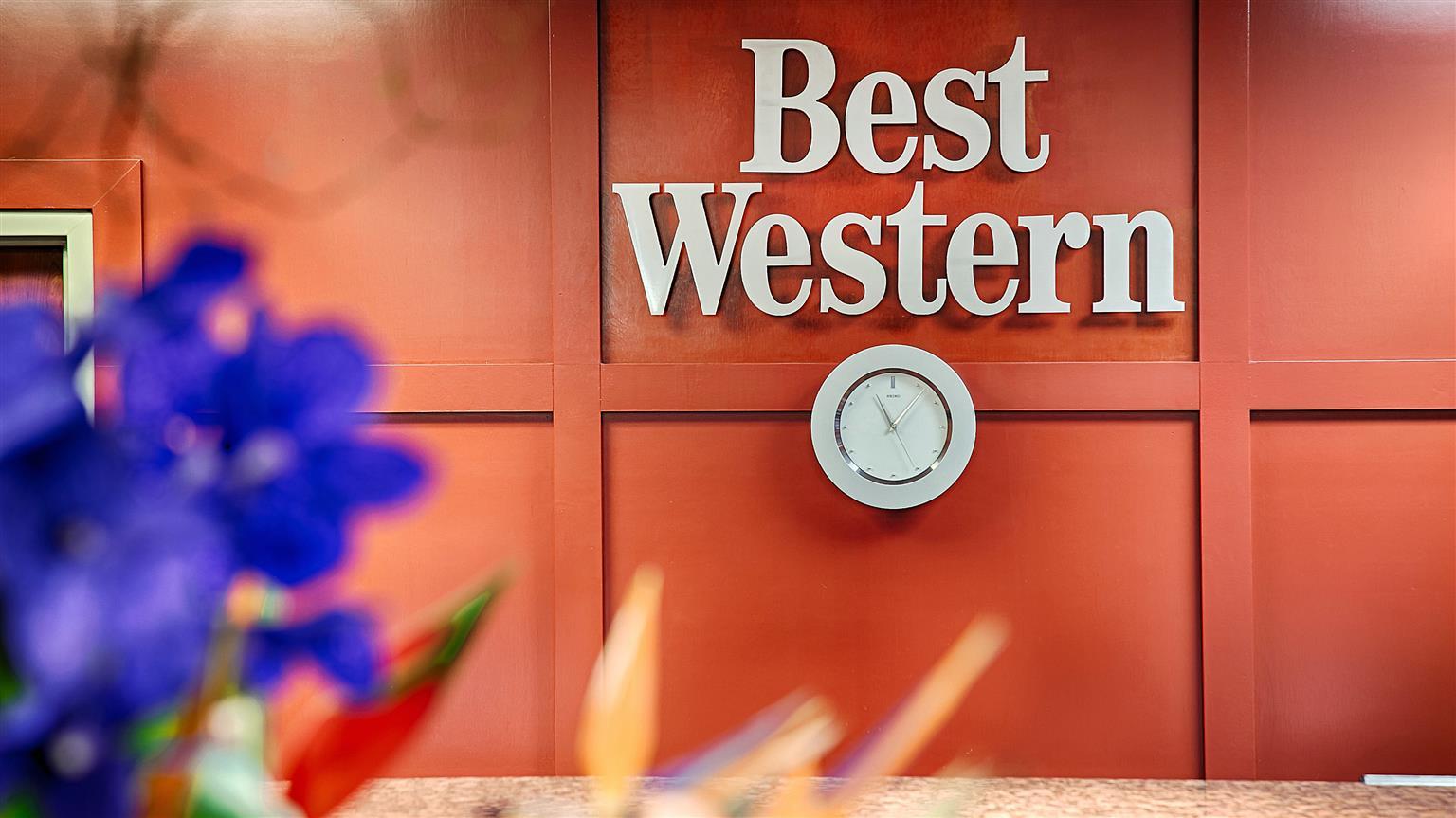 Surestay Plus Hotel By Best Western Houston Medical Center Экстерьер фото